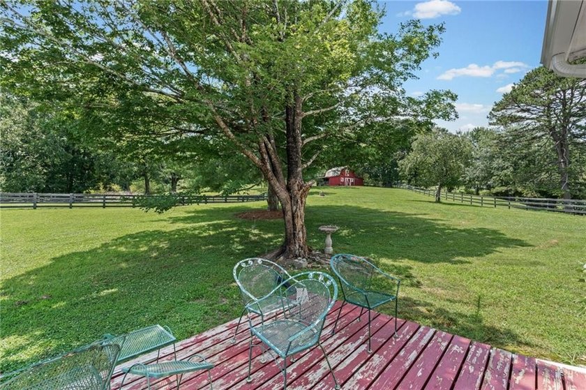 Charming 4 5 Acre Mini Farm in North Hall School District - photo 41