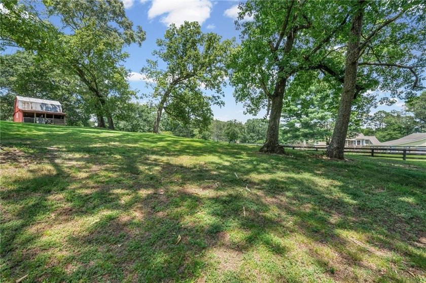 Charming 4 5 Acre Mini Farm in North Hall School District - photo 49