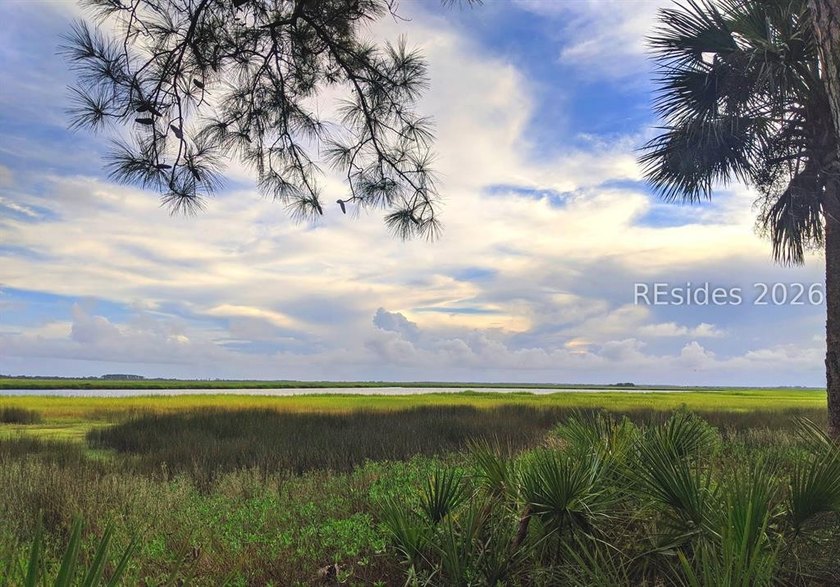 1/3 of an acre on Daufuskie Island with No HOA awaits! Live on - photo 11