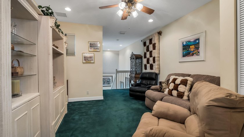 7049 Veneto Dr - photo 49