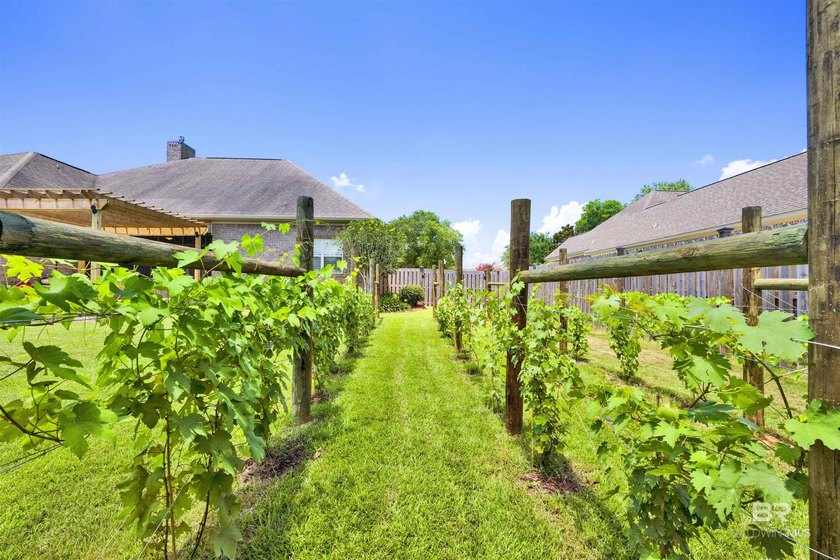 A stunning custom home in the beautiful Summer Lake community - photo 39