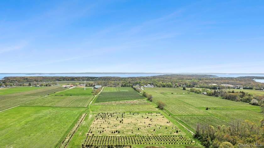 Set along the iconic agricultural stretch of the Main Road in - photo 9