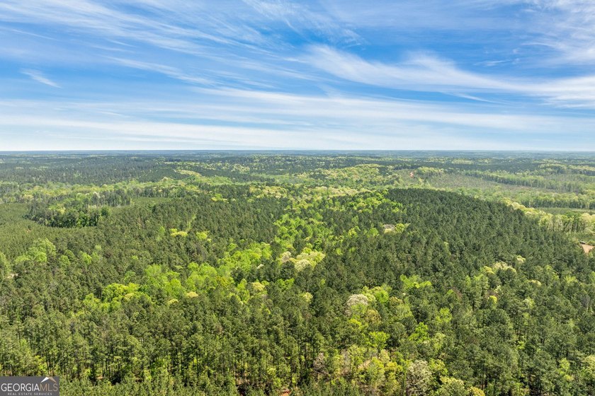 Discover the perfect blend of seclusion, natural beauty and - photo 11