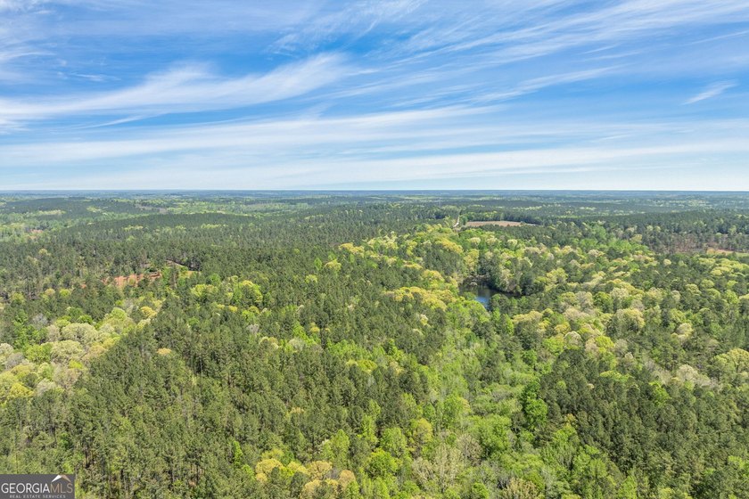 Discover the perfect blend of seclusion, natural beauty and - photo 19