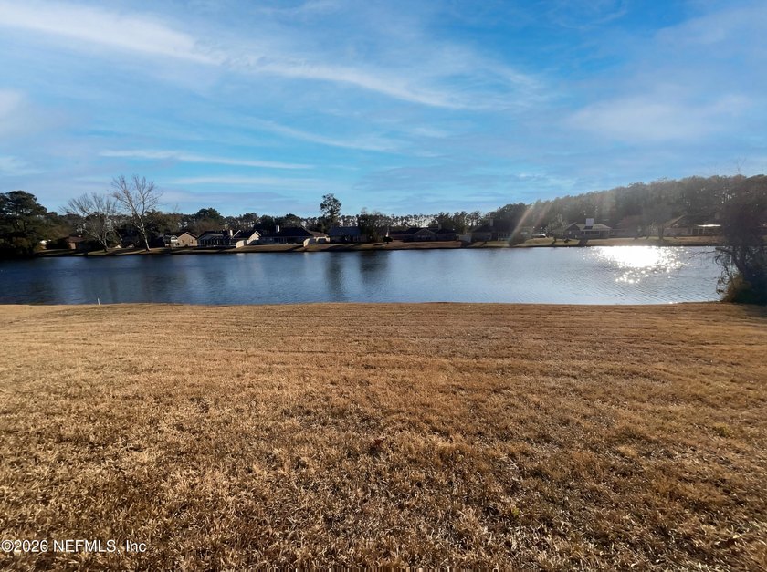 Introducing 978 Tammy Cove Ln, a property that has been - photo 21