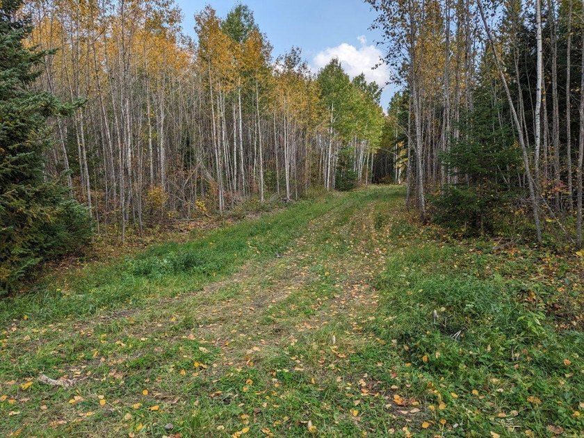 Escape to the great outdoors with this 37-acre recreational and - photo 2