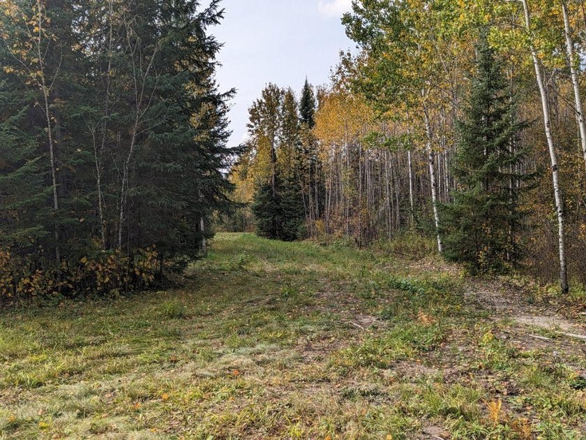 Escape to the great outdoors with this 37-acre recreational and - photo 4