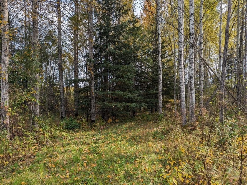 Escape to the great outdoors with this 37-acre recreational and - photo 7