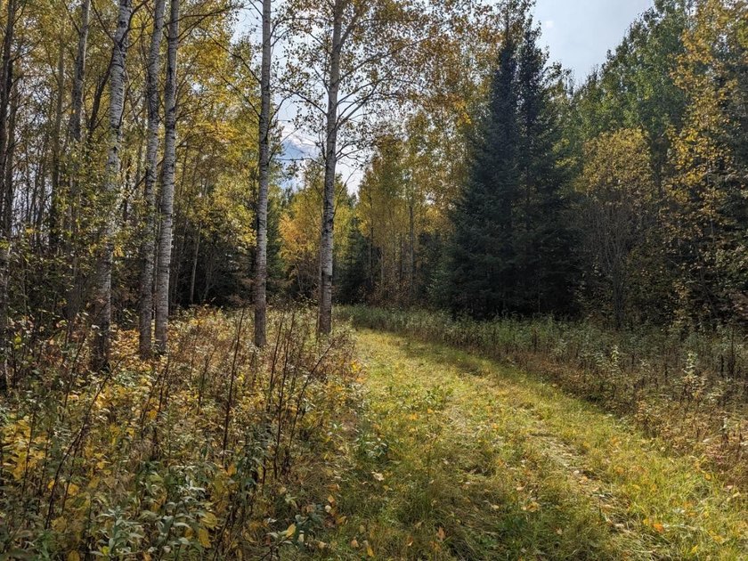Escape to the great outdoors with this 37-acre recreational and - photo 9