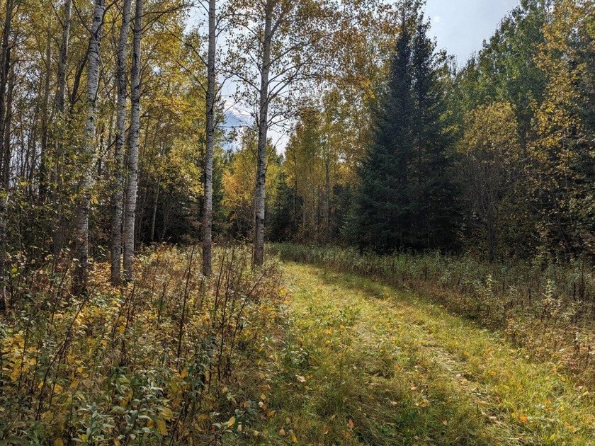 Escape to the great outdoors with this 37-acre recreational and - photo 10