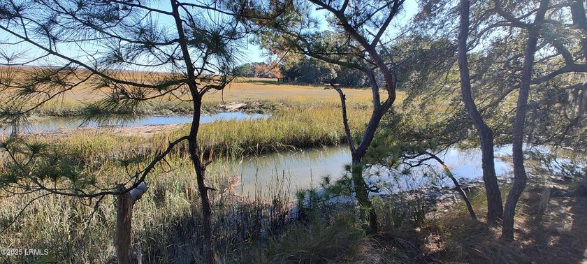 The only waterfront homesite available in Sommerset Point - photo 6