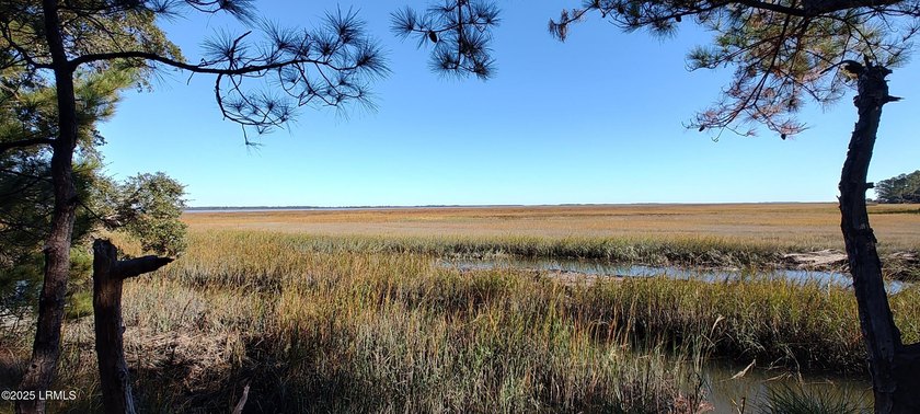 The only waterfront homesite available in Sommerset Point - photo 9