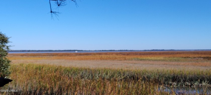 The only waterfront homesite available in Sommerset Point - photo 10