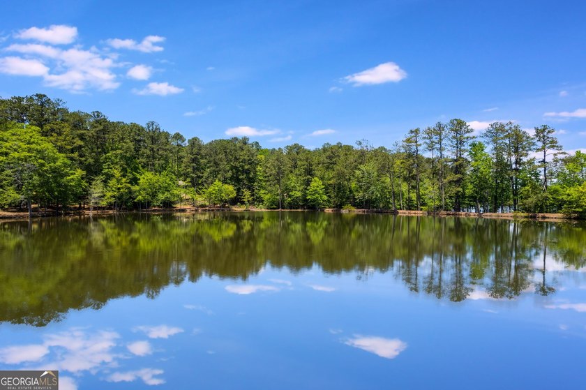 Private Waterside Retreat on Nearly 3 Acres Minutes from Major - photo 5