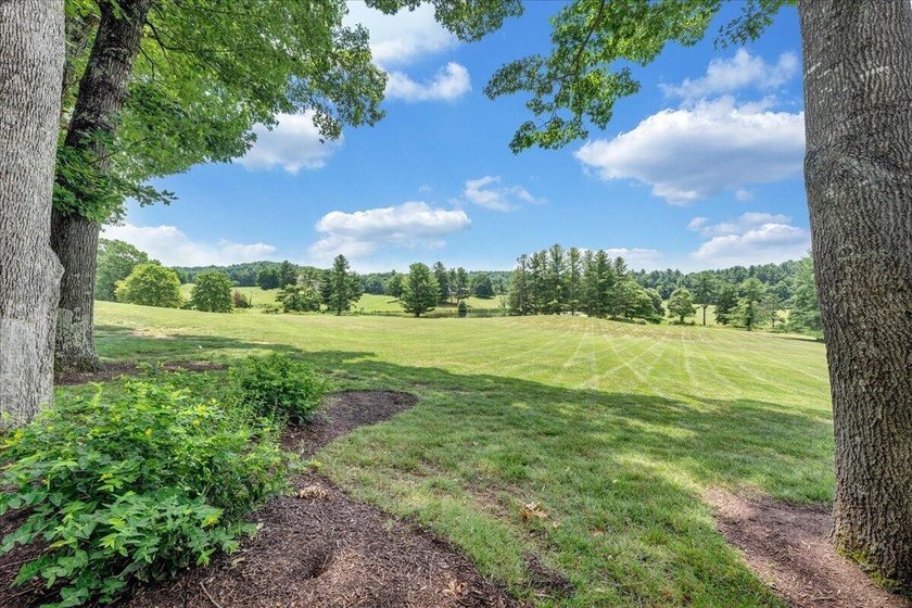 Set on a nearly 10-acre estate with breathtaking mountain and - photo 22