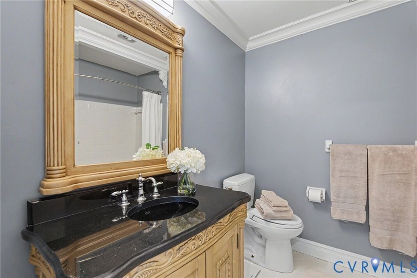 SALISBURY BEAUTY! Luxury, maintenance-free living with beautiful - photo 46