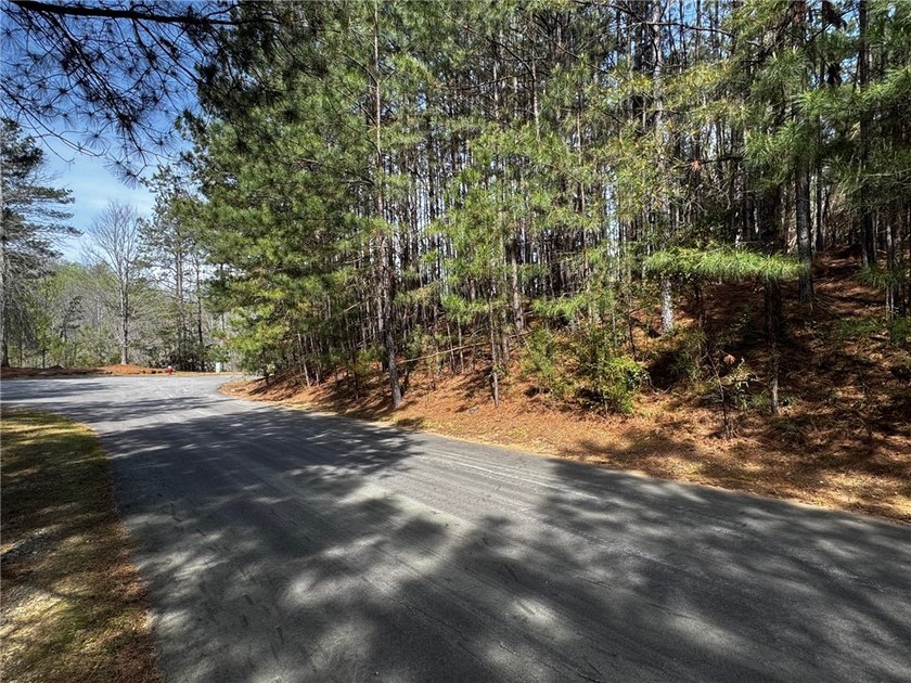 Interior gently sloping lot with potential long range views of - photo 11
