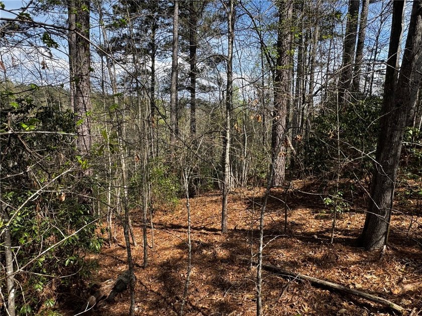 Interior gently sloping lot with potential long range views of - photo 12