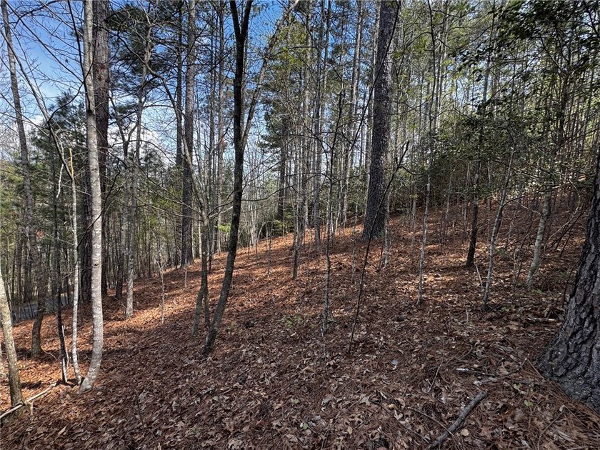 Interior gently sloping lot with potential long range views of - photo 13