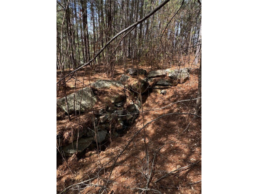Interior gently sloping lot with potential long range views of - photo 14