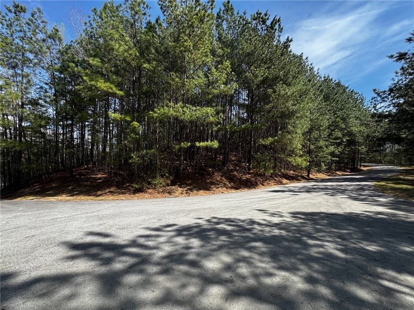 Interior gently sloping lot with potential long range views of - photo 15