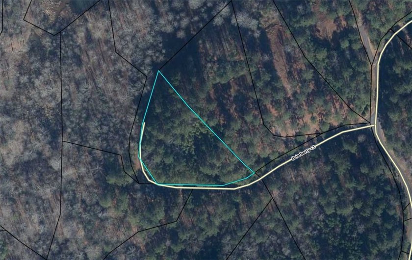 Interior gently sloping lot with potential long range views of - photo 20