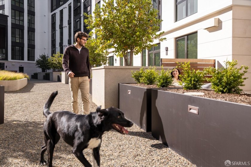 The Residences at Yerba Buena Island offer a rare opportunity to - photo 37