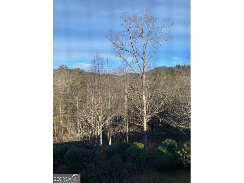 Beautiful Northeast Georgia - condo 3BR/3BA built 2000, elevator - photo 10