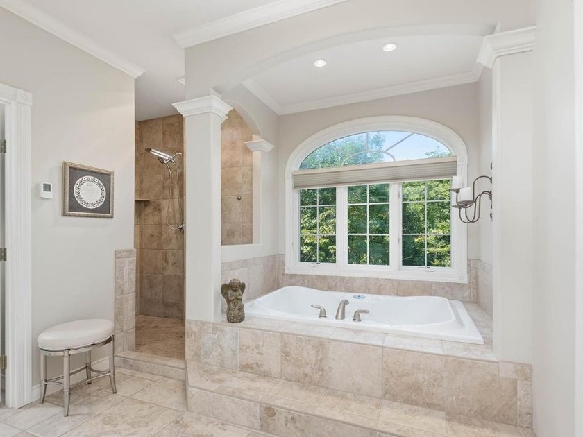 Nestled among mature trees on 2.97 acres in Corcoran's Windmill - photo 32