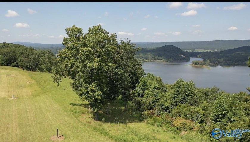 Enjoy extravagant views from the gated community of The Bluffs - photo 7