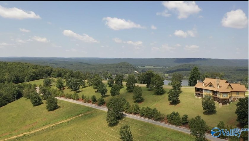 Enjoy extravagant views from the gated community of The Bluffs - photo 9