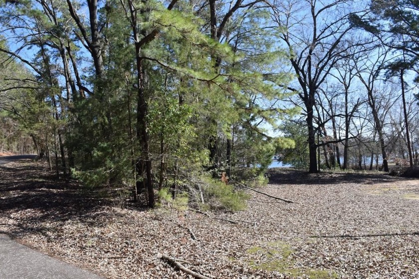 00 ACR 385, Palestine, TX 75801, 3467321