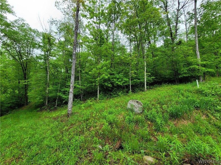 Build your dream home or private mountain retreat on this - photo 2