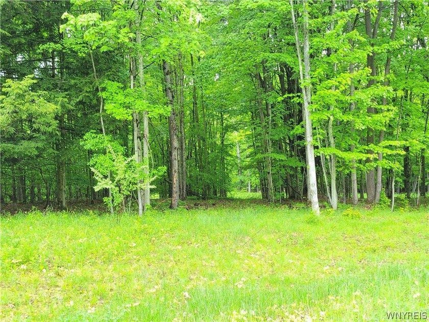 Build your dream home or private mountain retreat on this - photo 3