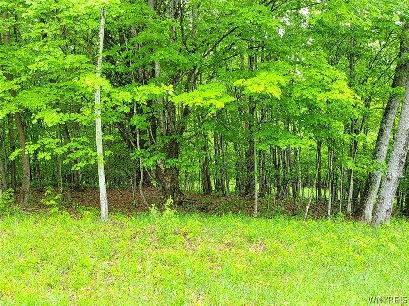 Build your dream home or private mountain retreat on this - photo 4