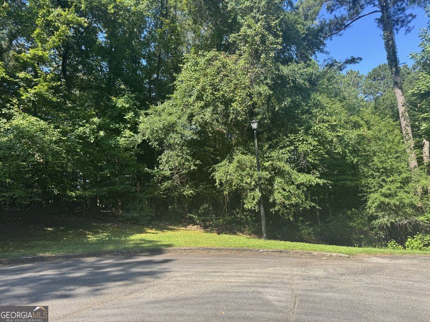 Beautiful culdesac lot to build your Dream home. Located in - photo 2