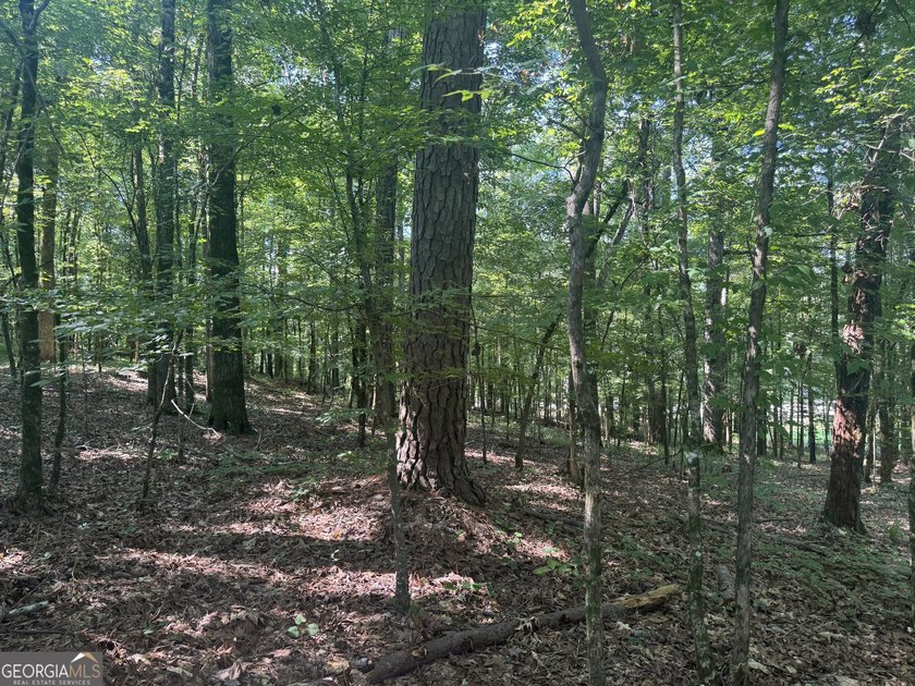 Beautiful culdesac lot to build your Dream home. Located in - photo 3