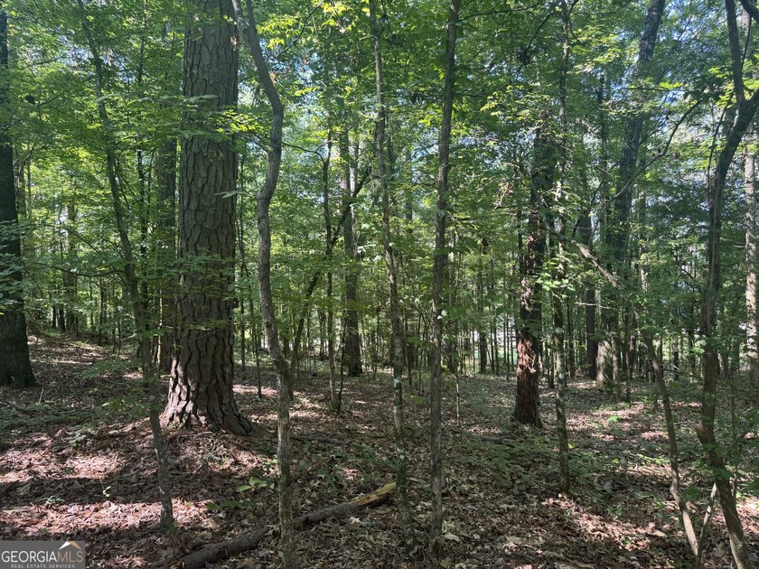 Beautiful culdesac lot to build your Dream home. Located in - photo 4