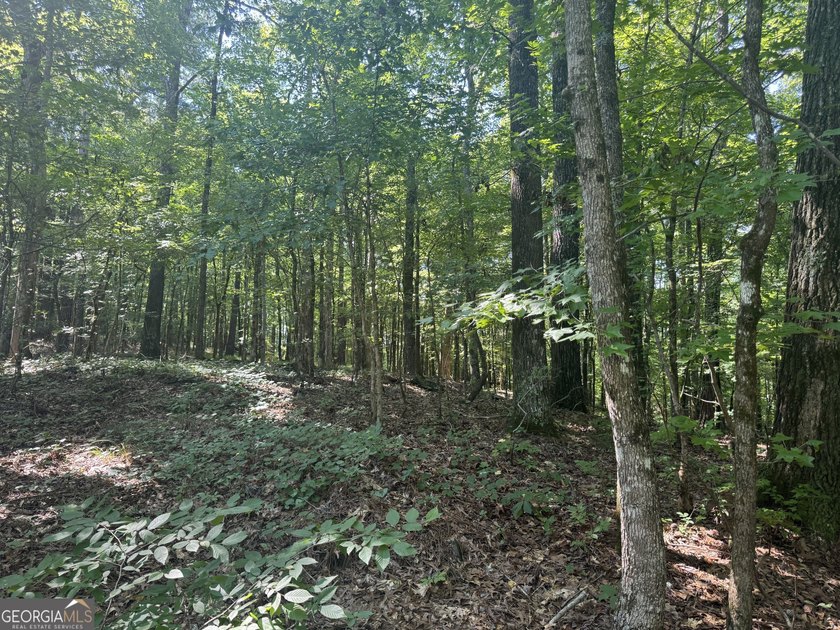 Beautiful culdesac lot to build your Dream home. Located in - photo 5
