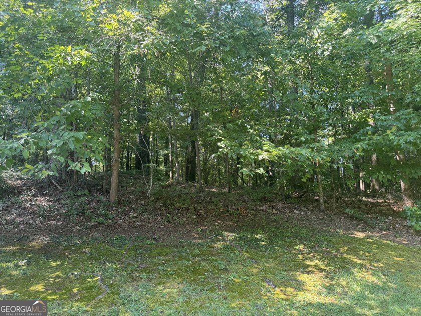 Beautiful culdesac lot to build your Dream home. Located in - photo 7
