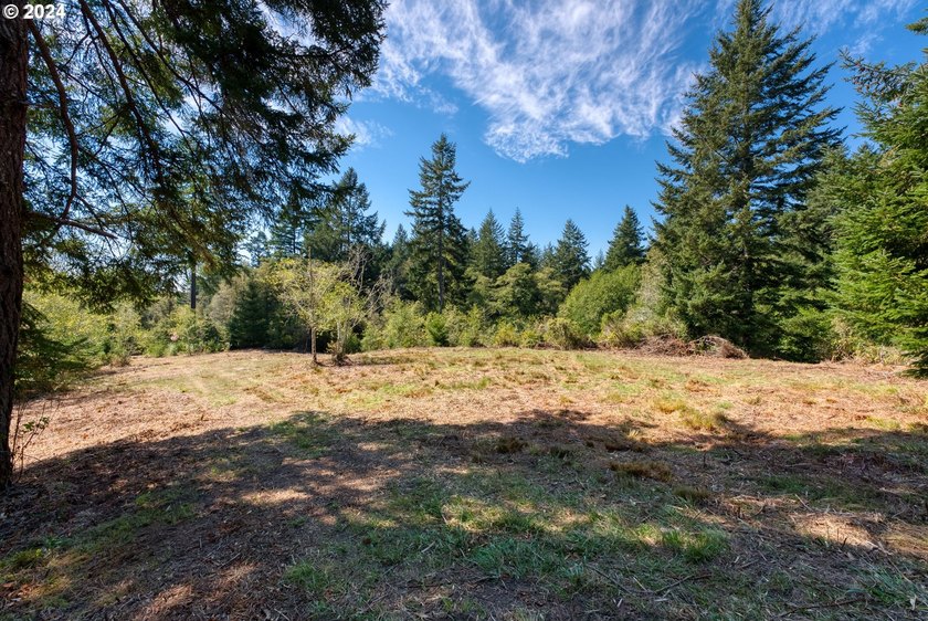EXTREMELY RARE. 16.85 acres undeveloped and inside the city - photo 2