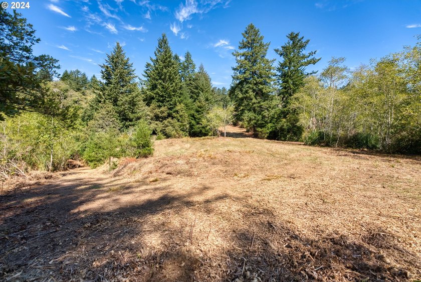 EXTREMELY RARE. 16.85 acres undeveloped and inside the city - photo 4