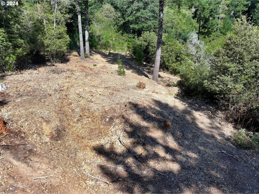 EXTREMELY RARE. 16.85 acres undeveloped and inside the city - photo 5