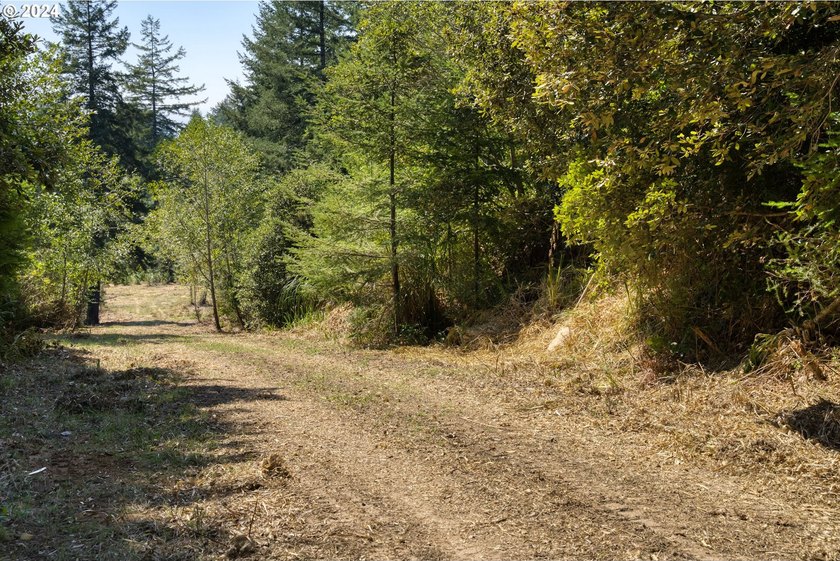 EXTREMELY RARE. 16.85 acres undeveloped and inside the city - photo 6