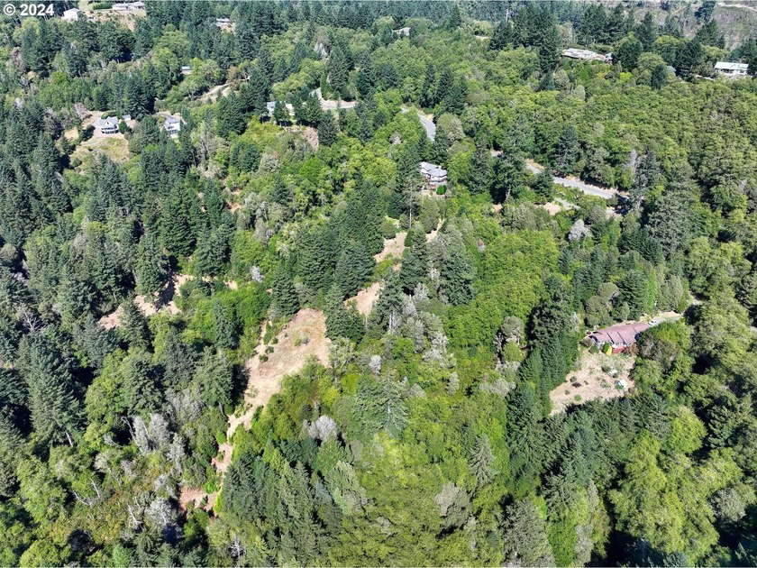 EXTREMELY RARE. 16.85 acres undeveloped and inside the city - photo 10
