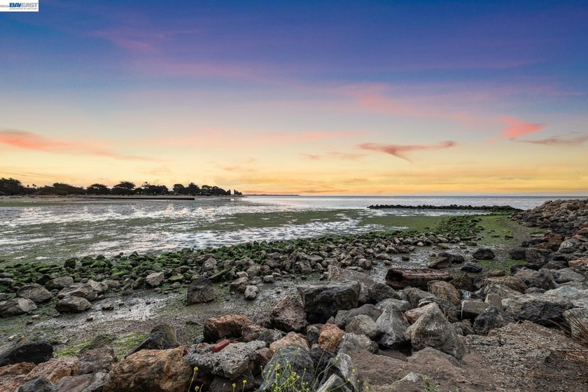 Welcome to resort-style living in the heart of vibrant Alameda - photo 22