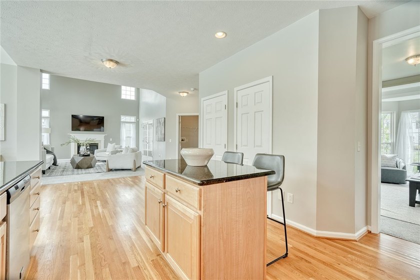 LIGHT! VOLUME! OPEN SPACE! Stunning Webster, NY home with SCALE - photo 20