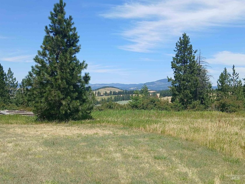 Rare hilltop acreage with 360 degree views in all directions - photo 3