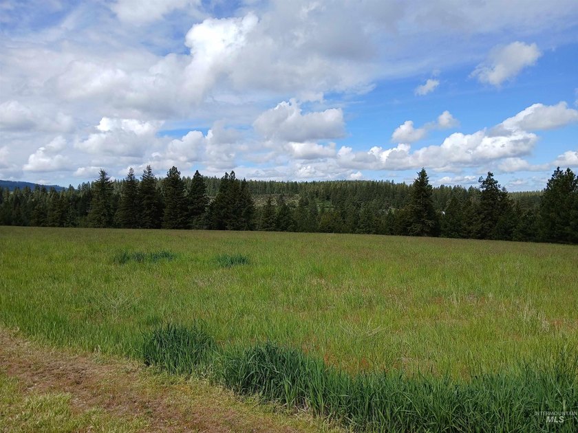 Rare hilltop acreage with 360 degree views in all directions - photo 4
