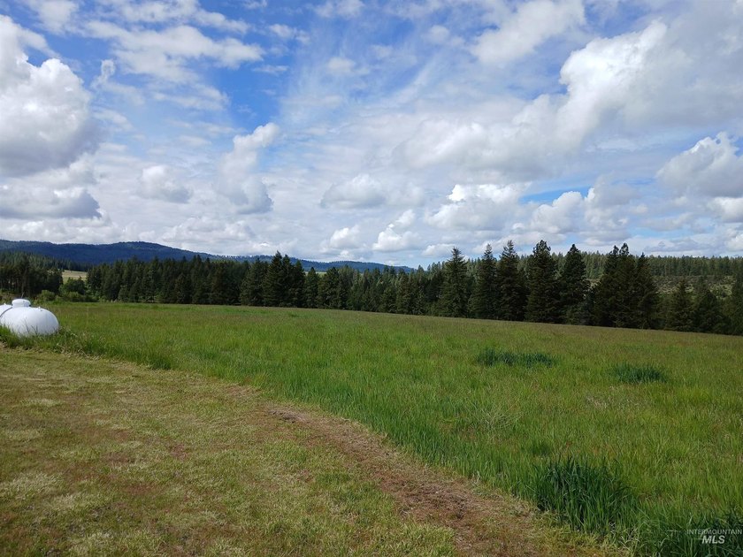 Rare hilltop acreage with 360 degree views in all directions - photo 5